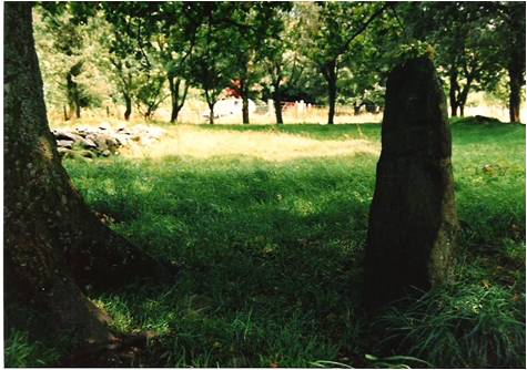 old-headstone Old headstone (with carved cross visible), beside burial ground